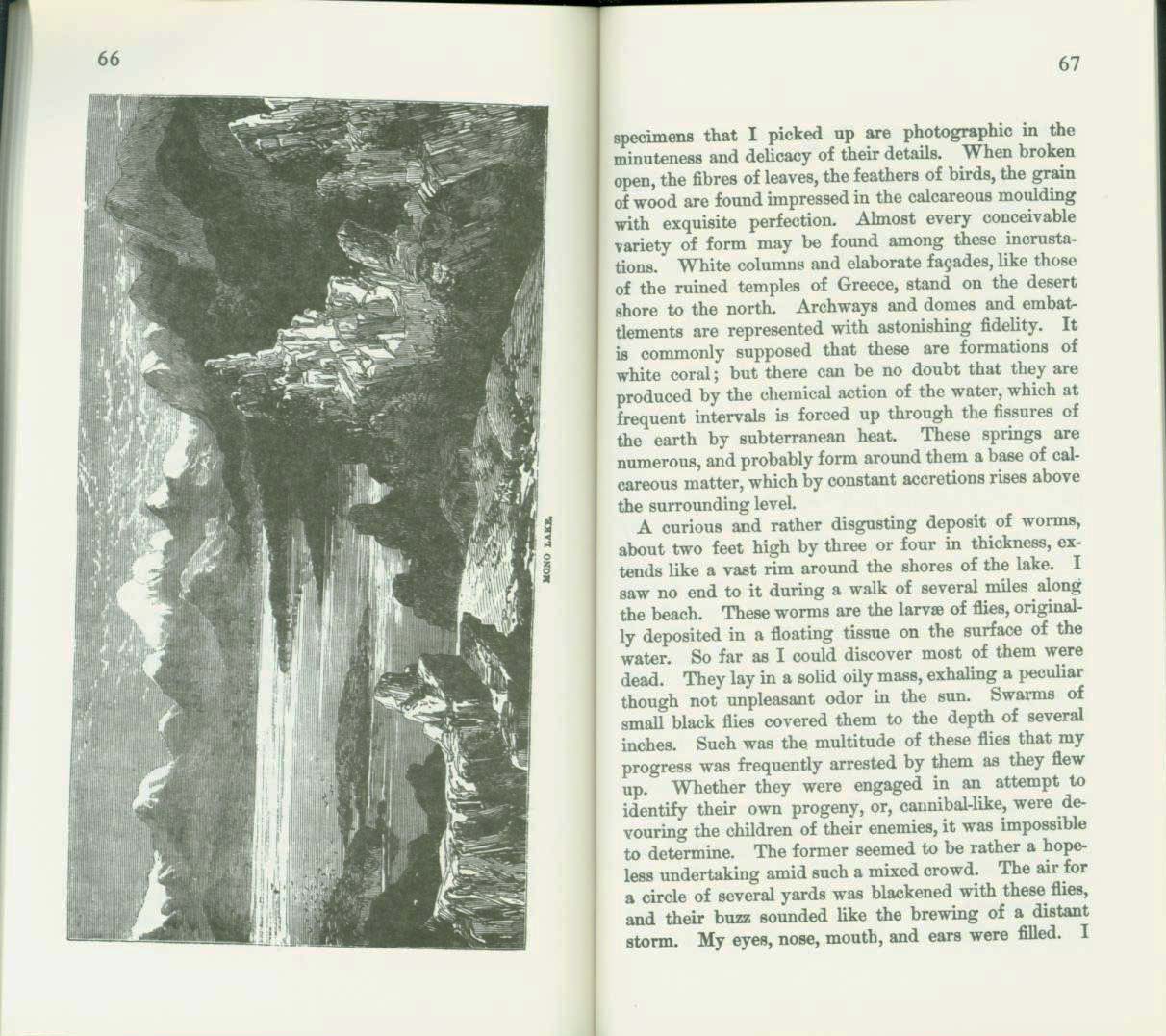 a trip to bodie bluff and the "dead sea of the west (mono lake)--in 1863. vist0076n